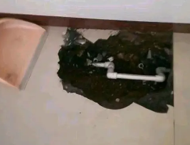 张家界卫生间测漏水多少钱